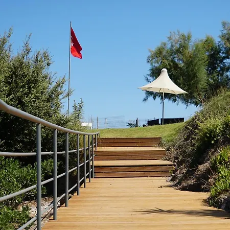 Paradise Bardakci Бодрум